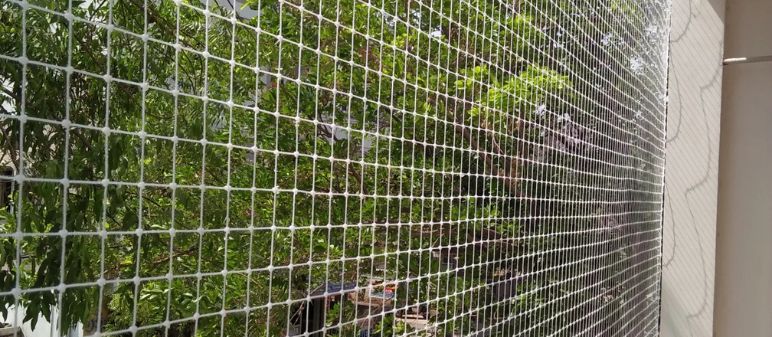 Bird Netting Services