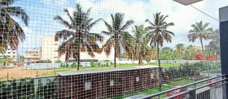 Bird Protection Nets